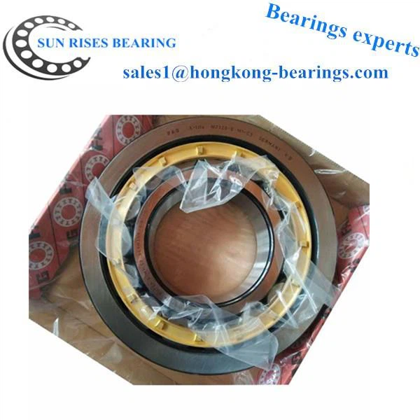 Super-precision Cylindrical Roller Bearings N 1022 KTNHA/SP